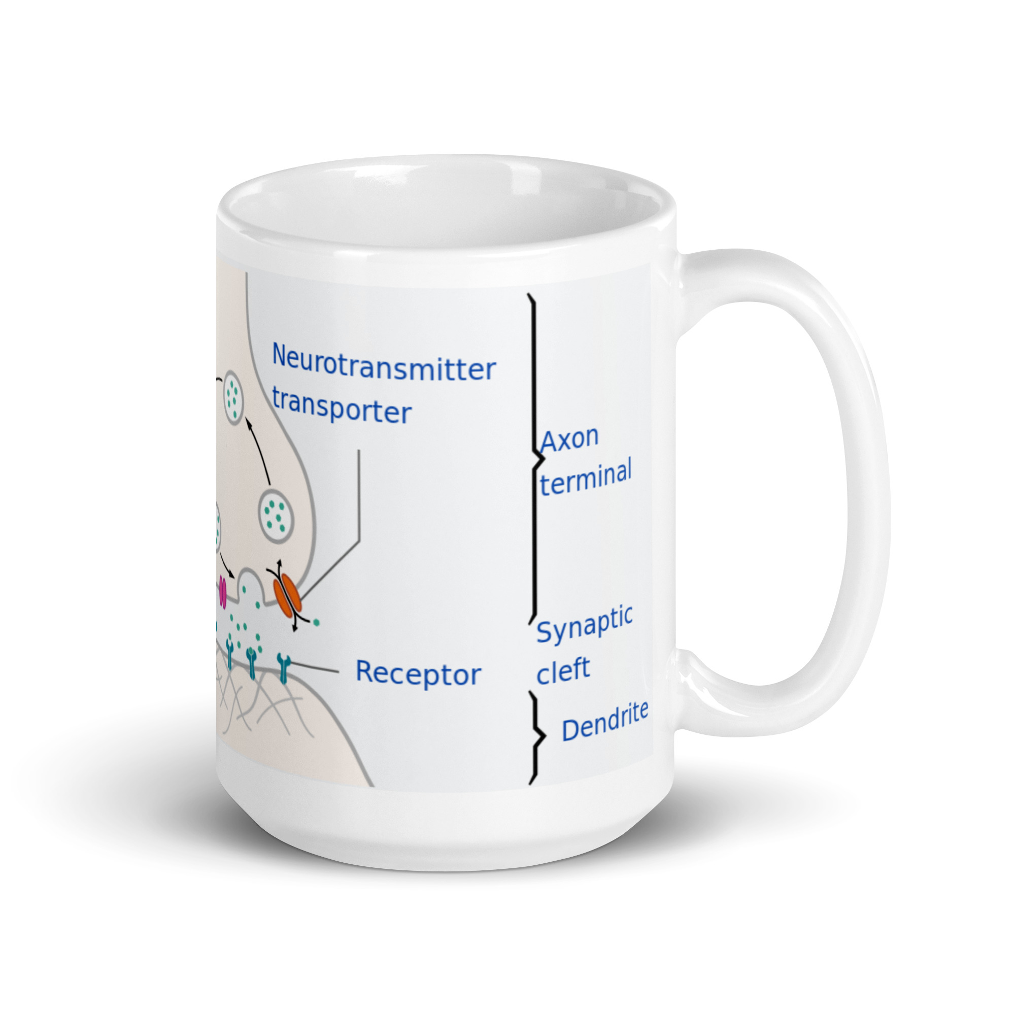 Neurotransmitter White glossy mug - Image 8